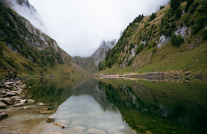 swiss print 2 (1 of 1).jpg