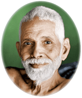 publications_photo.gif