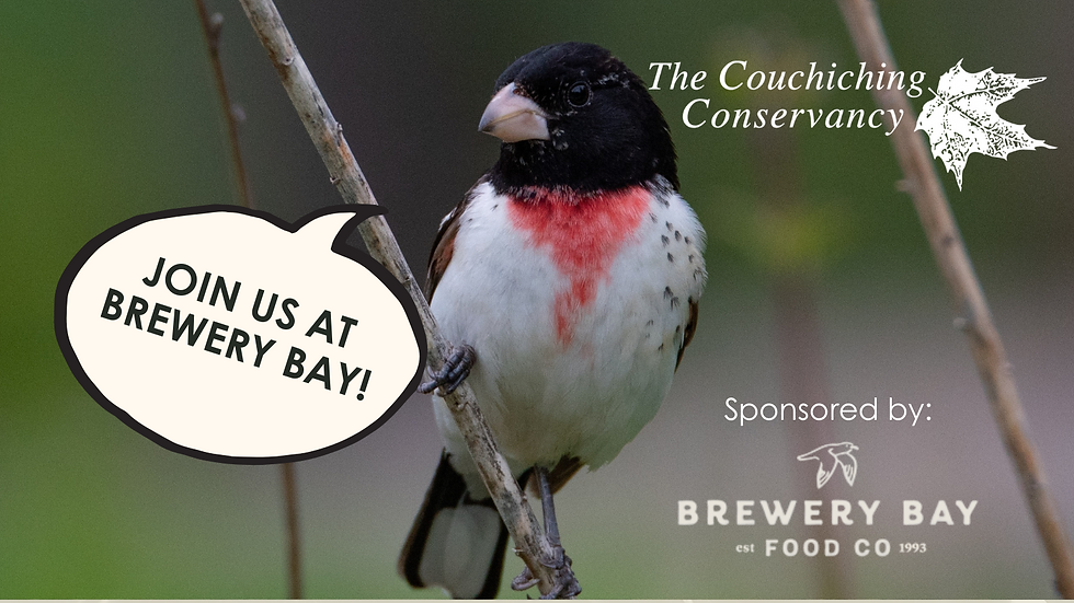Birds, Beer & Bingo | The Couchiching Conservancy