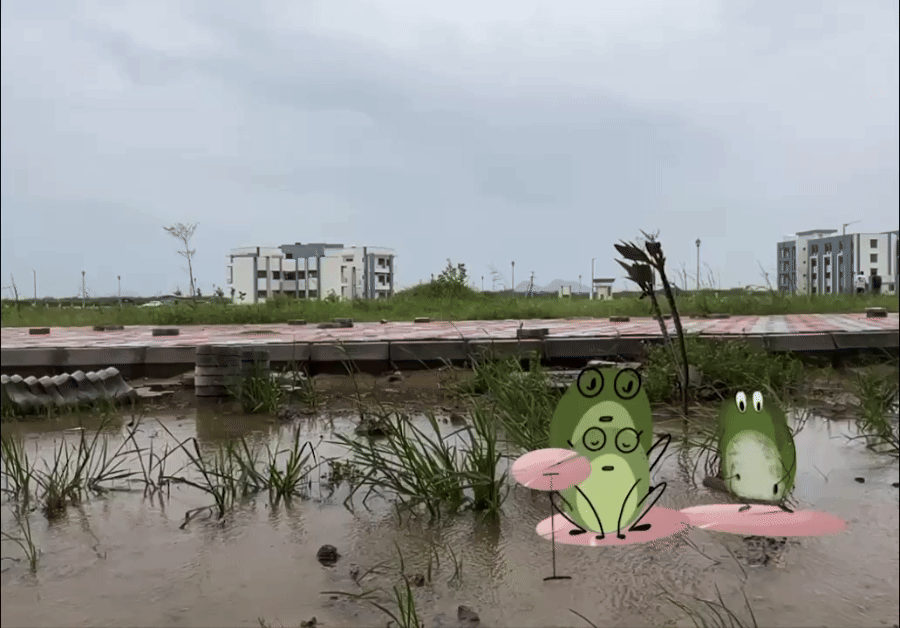 frog-2.gif
