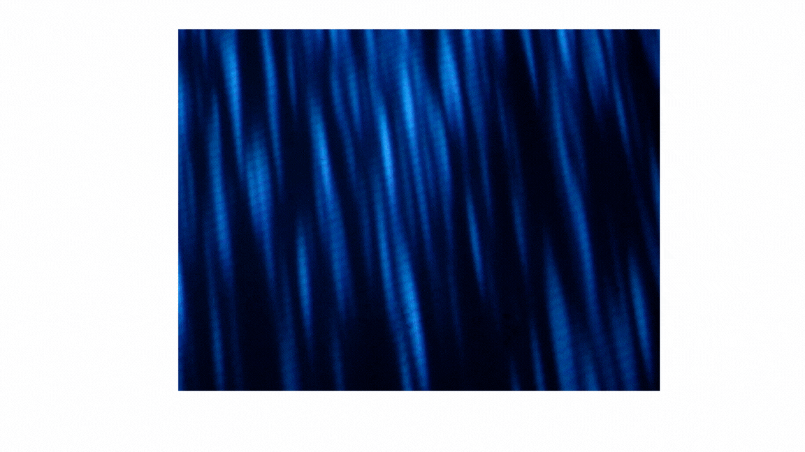 Untitled design.gif