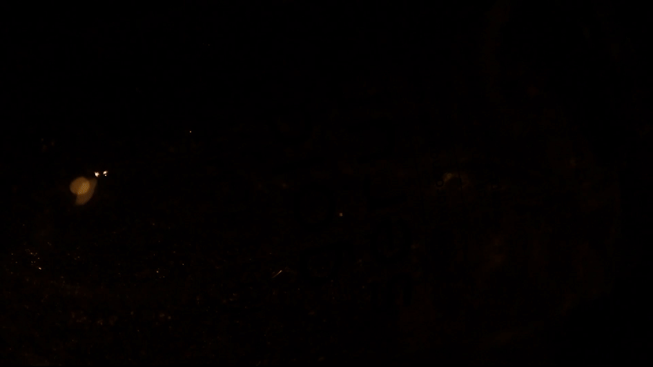 shortad.gif
