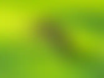 How Aedes aegypti Is Developing Resistance to Insecticides