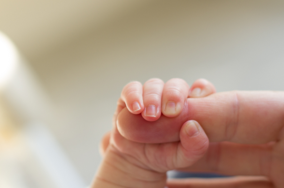 Study Reveals Arboviruses Increase Severe Risks for Newborns in Brazil