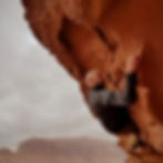 Austin climbing and bouldering on red sandstone in Wadi Rum