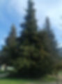 image-2d2c6585-e681-4531-a107-3a17b53d2fda3644908729508732744.jpg