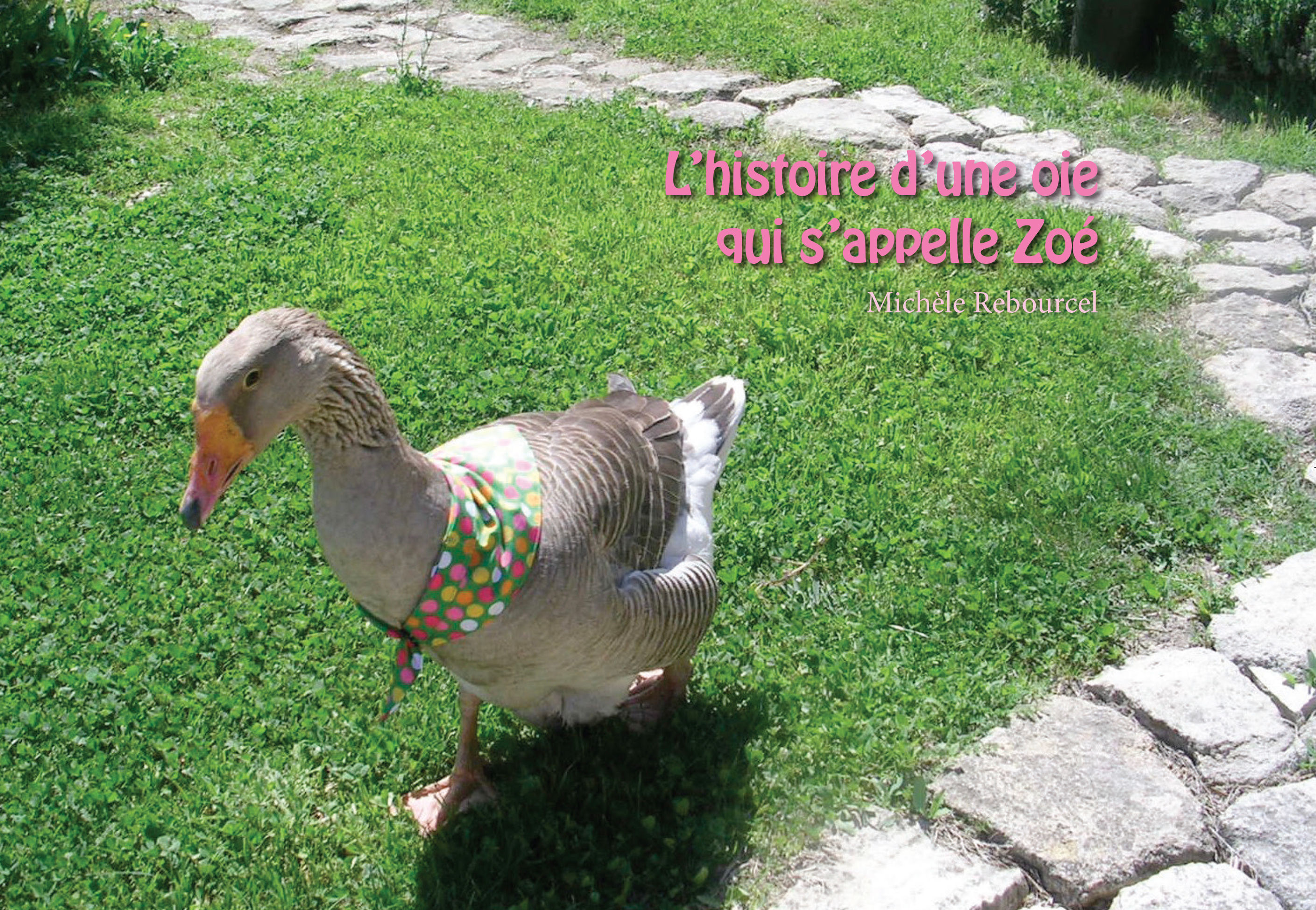 L'histoire d'une oie qui s'appelle Zoé - Michelle Rebourcel