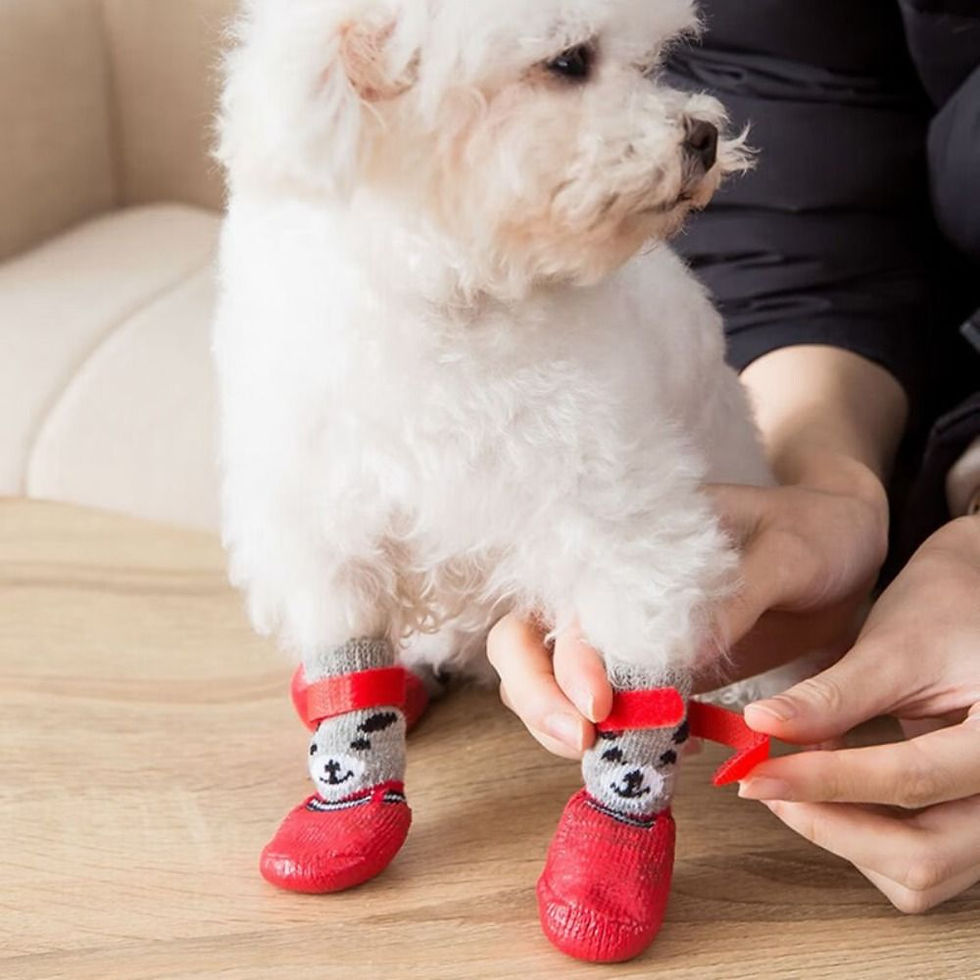 Thumbnail: Pet Dog Shoes Socks And Harness For A Small Dog Warm Waterproof Non Slip Boots A