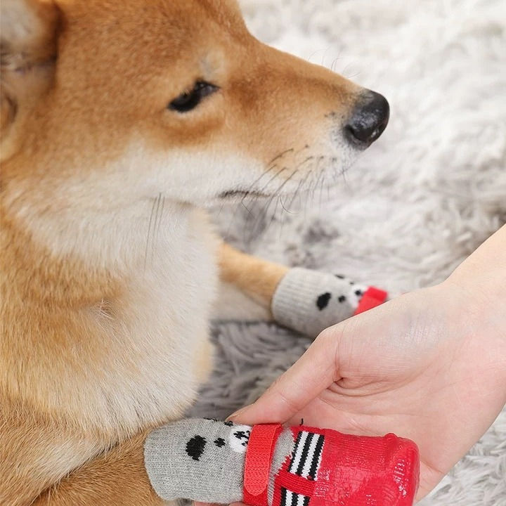 Thumbnail: Pet Dog Shoes Socks And Harness For A Small Dog Warm Waterproof Non Slip Boots A