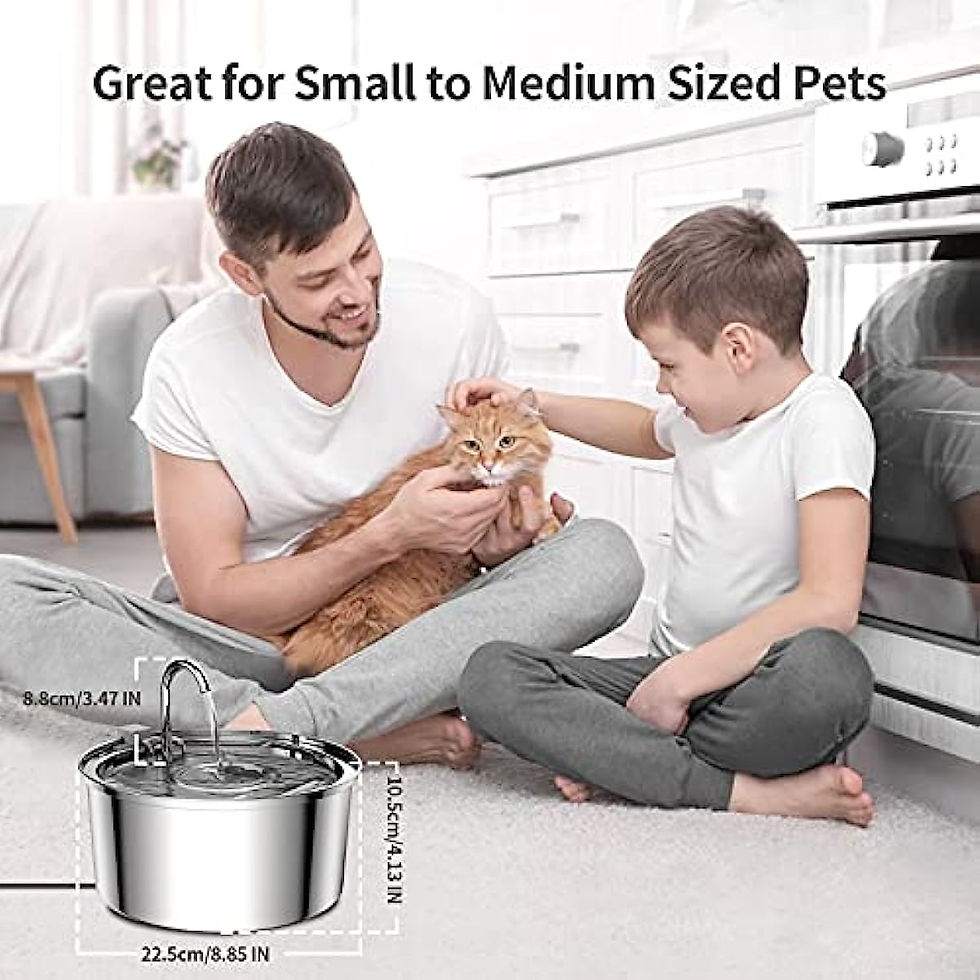 Thumbnail: Automatic Cat Water Fountain Stainless Steel Pet Fountain Dog Water Dispenser Wi