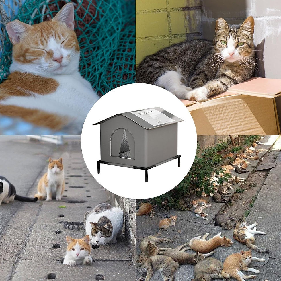 Thumbnail: Weatherproof Outdoor Cat House | Elevated Shelter for Stray Cats