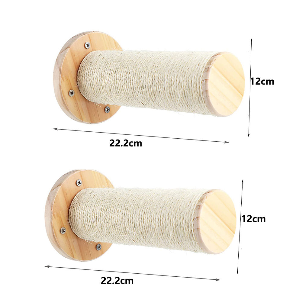 Thumbnail: Wall-Mounted Cat Tree Shelves