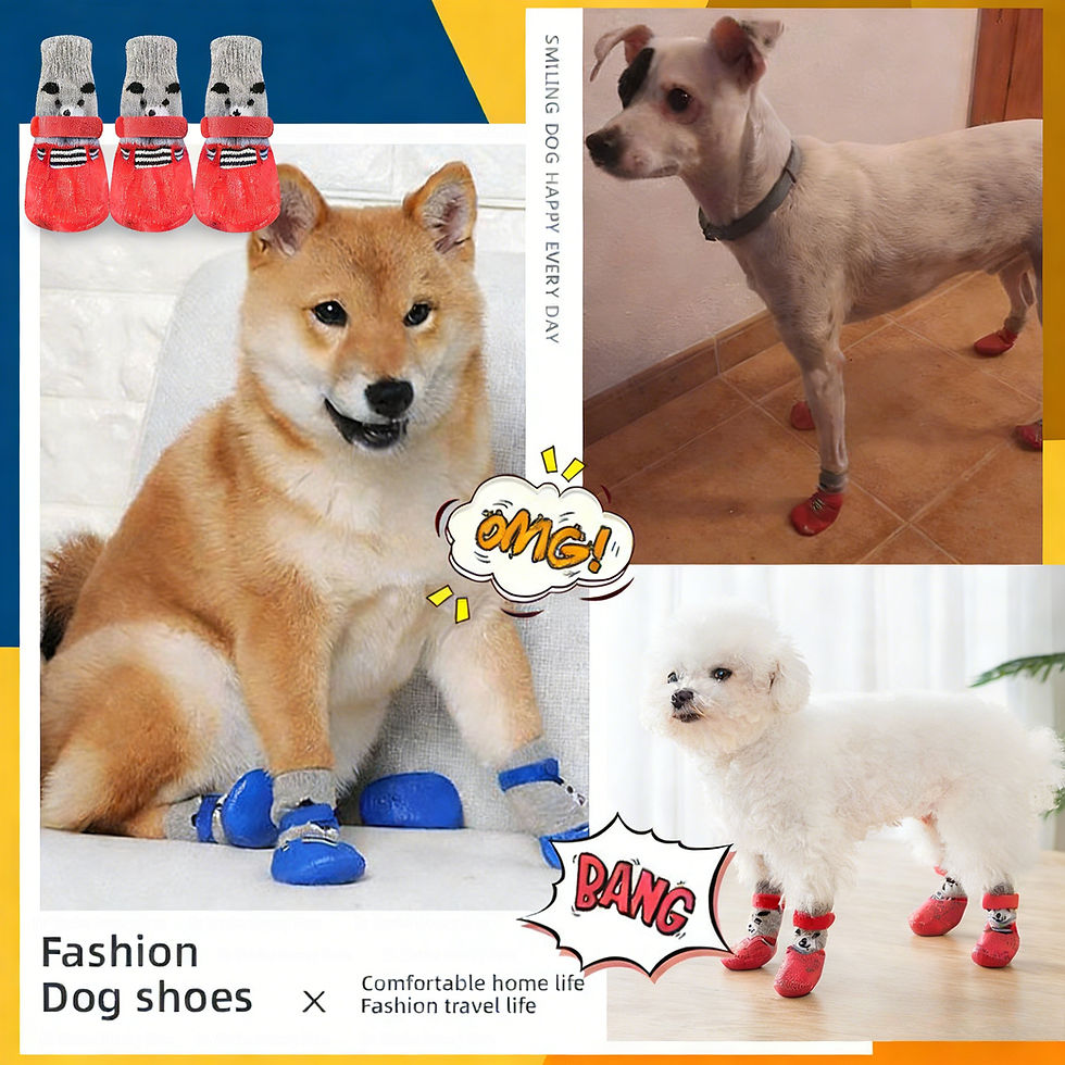 Thumbnail: Pet Dog Shoes Socks And Harness For A Small Dog Warm Waterproof Non Slip Boots A