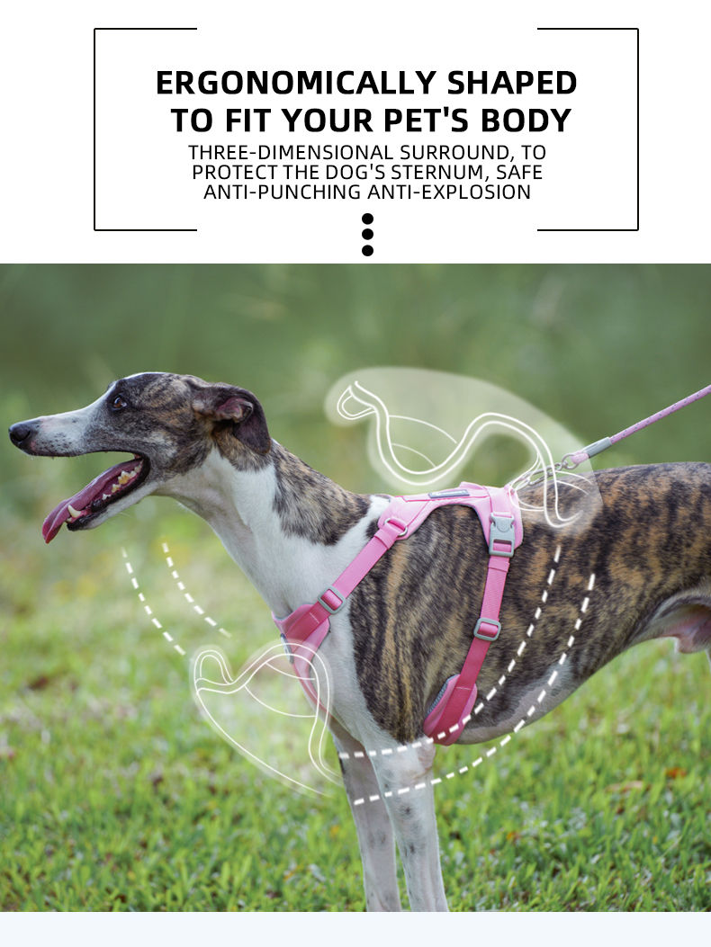 Thumbnail: Dog Breathable No-Pull Harness