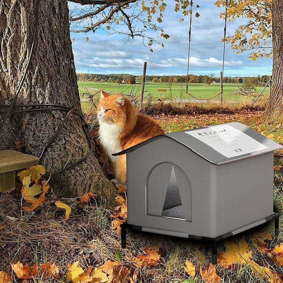 Thumbnail: Weatherproof Outdoor Cat House | Elevated Shelter for Stray Cats