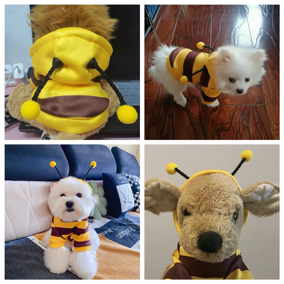 Thumbnail: Cute Bee Style Hoodie (Dog & Cat). | Cozy Knit Vest for Small Pets