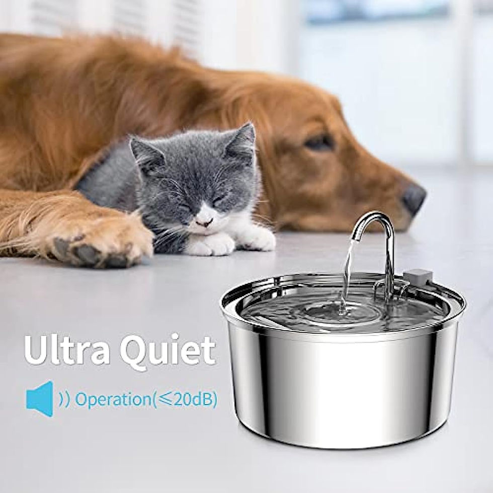 Thumbnail: Automatic Cat Water Fountain Stainless Steel Pet Fountain Dog Water Dispenser Wi