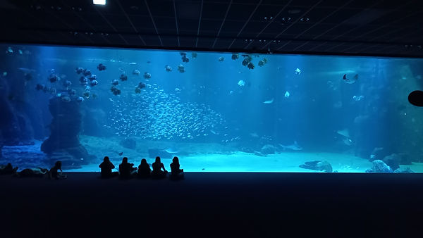 Resized_20221018_132156.jpeg