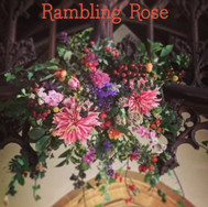 Rambling Rose
