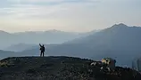 mountain_view_optimized.webp