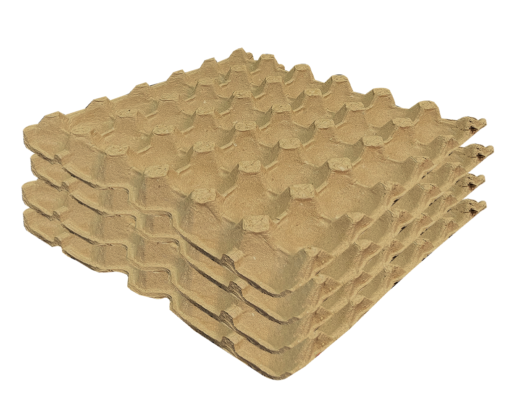 30s (Egg Tray).png