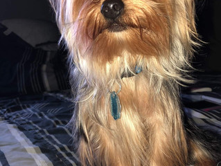 Little Mr. Kobe turns "4" today!