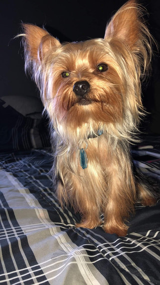 Little Mr. Kobe turns "4" today!