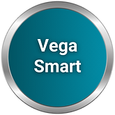 Vega Smart resmi muhasebe otomasyonu