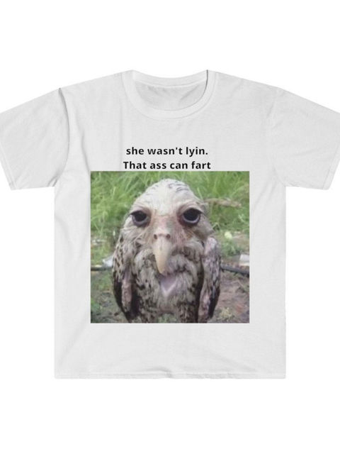 She Wasn’t Lyin’ Meme Shirt