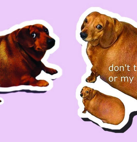 Don’t Talk to Me or My Son Sticker