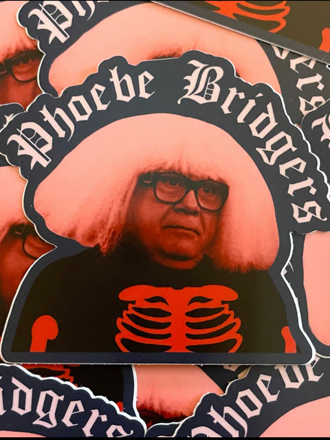 Phoebe Bridgers/ Danny Devito sticker