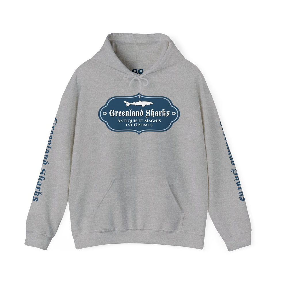 Thumbnail: Heavy Blend™ Hooded Sweatshirt