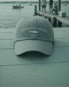New Cap on Shore 2_edited.png