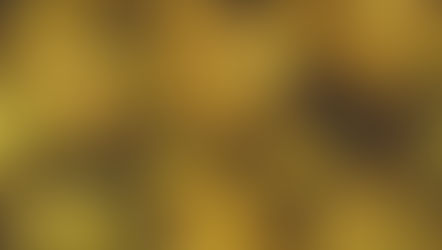 Diamonds Never Fade: A Softball Legacy