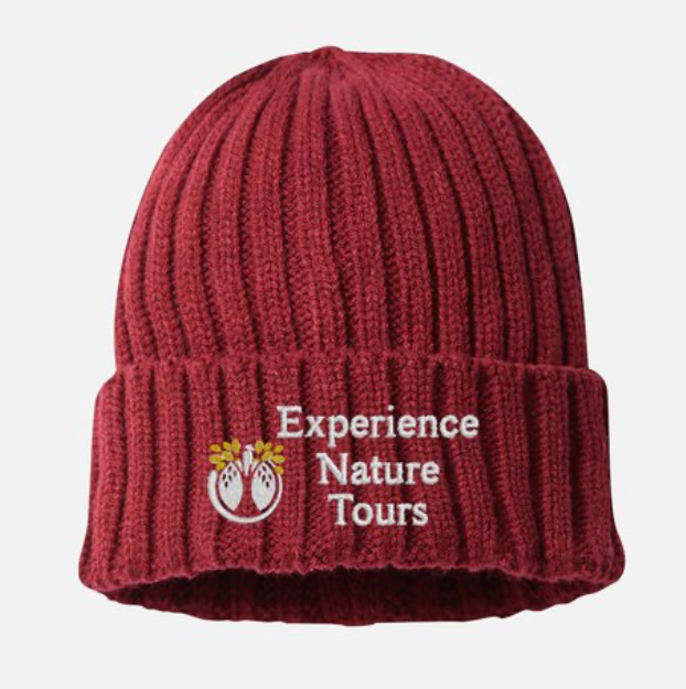 Thumbnail: ENT Knit Beanie