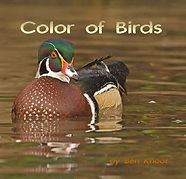 cover_2.jpeg