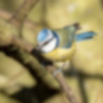 IMG_20210121_174947_491