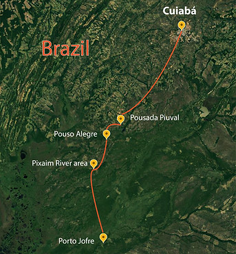 Brazil- Pantanal Photo Tour-01.jpg