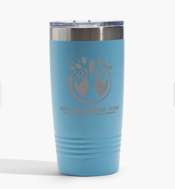 Thumbnail: ENT Travel Tumbler