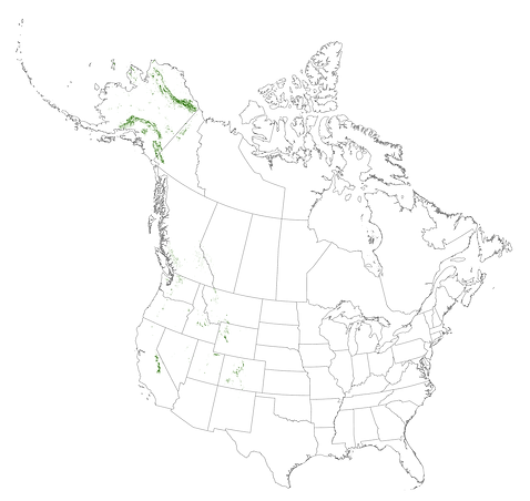 Nearctic Glacier and Scree - Code: Ne10G