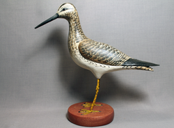 Yellowlegs with Legs