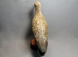 Curlew Massachusetts Style