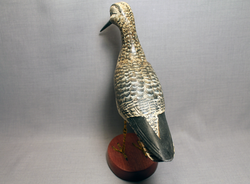 Yellowlegs with Legs