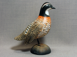 Quail Bobwhite with Drop Wing Mini