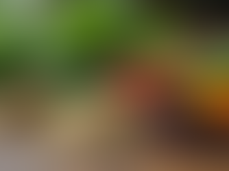 Exploring Plant-Based Remedies in Drug Discovery