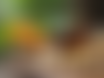 Herbal Medicine's Impact on Modern Pharmacy Practices