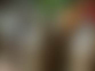 The Historical Significance of Herbal Remedies Today