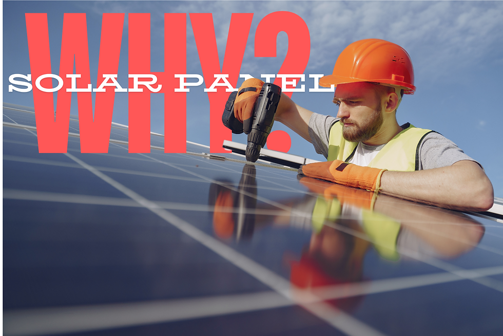 SOLAR PANEL INSTALLER
