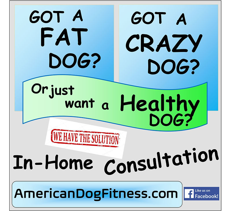 adf poster treadmill.jpg