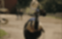 8ylumo.gif